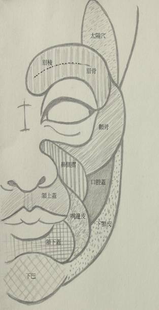 12臉譜肌肉
