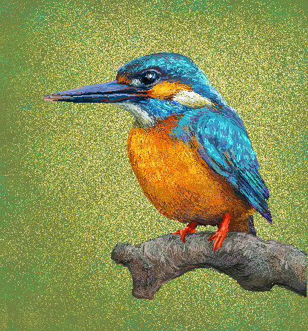 翠鳥（Alcedo；kingfishers）