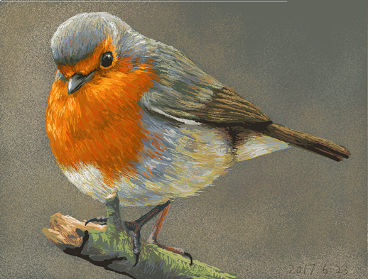 歐亞鴝（學名：Erithacus rubecula）